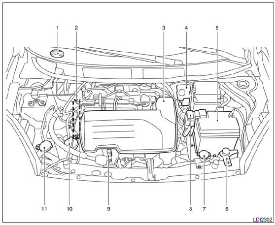 Motor D4D