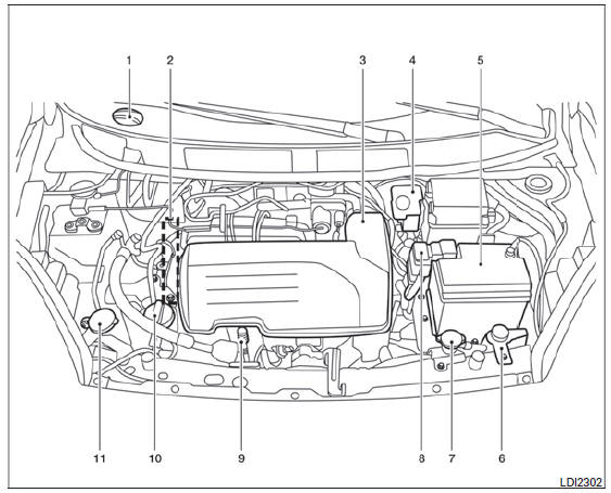 Motor D4D