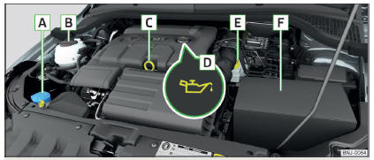 Fig. 166 Imagen esquemática: Vano motor