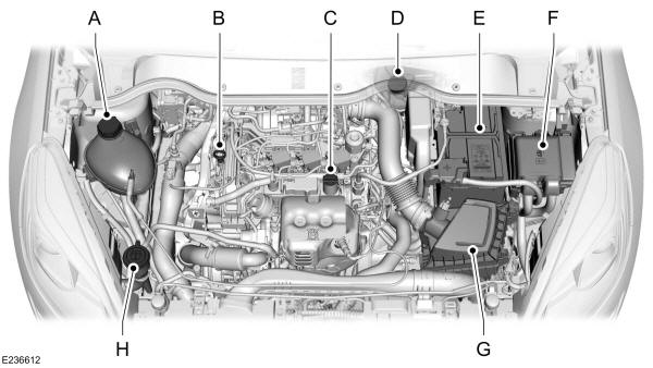 Bajo el capó - Vista de conjunto - 1,0l EcoBoost, Volante a la izquierda