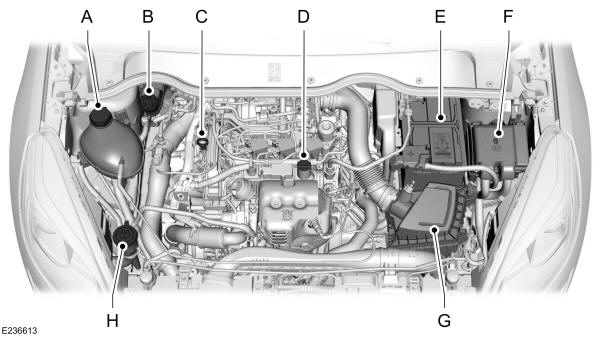 Bajo el capó - Vista de conjunto - 1,0l EcoBoost, Volante a la derecha