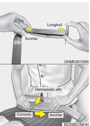 Cinturón abdominal