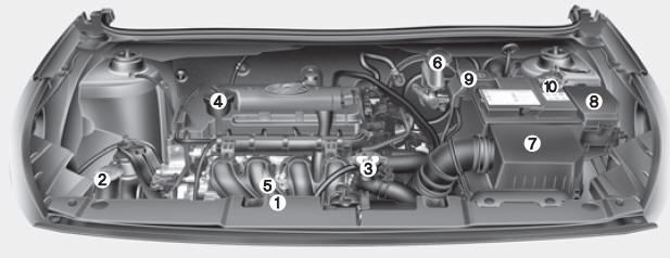 Compartimiento del motor