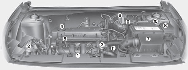 Compartimiento del motor