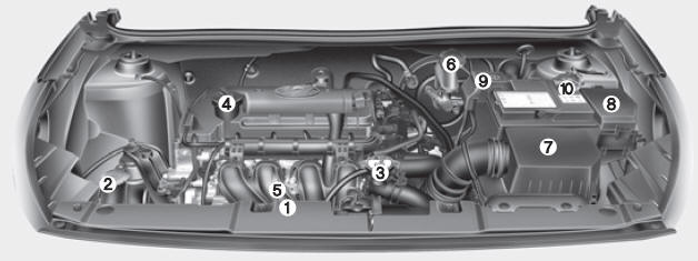 Compartimiento del motor