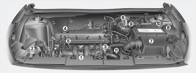 Compartimiento del motor